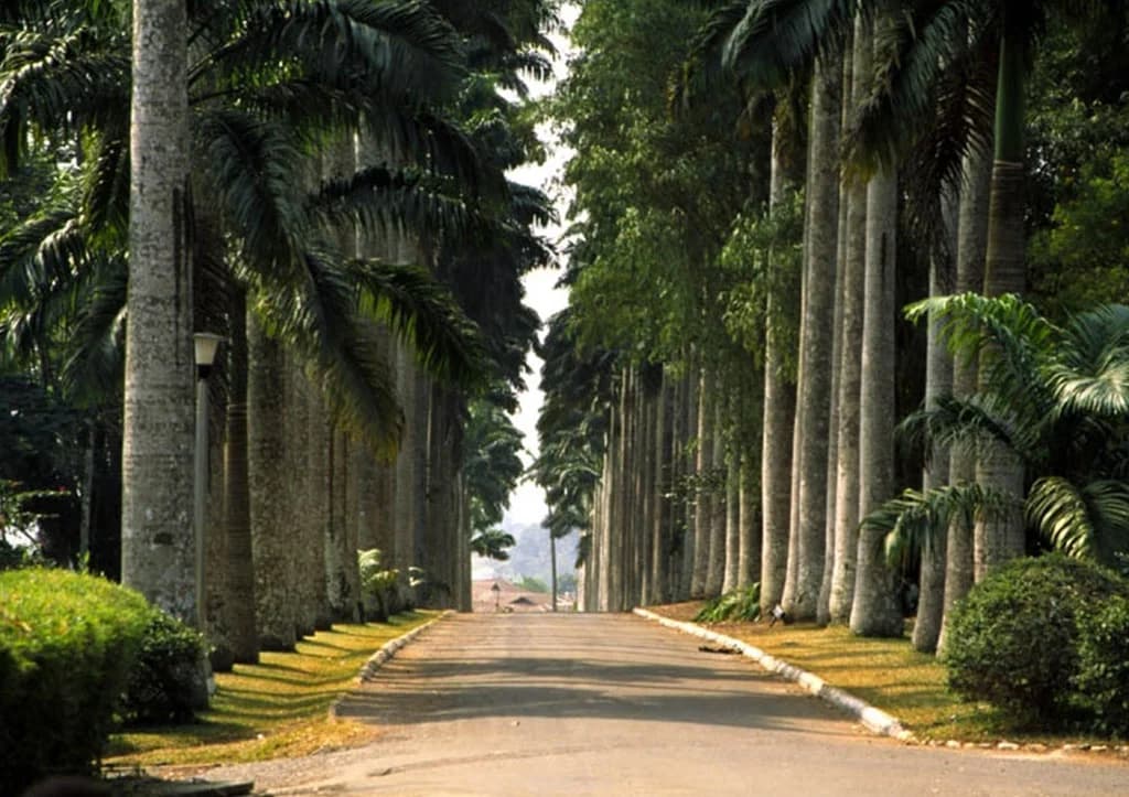 Jardins Botaniques d'Aburi