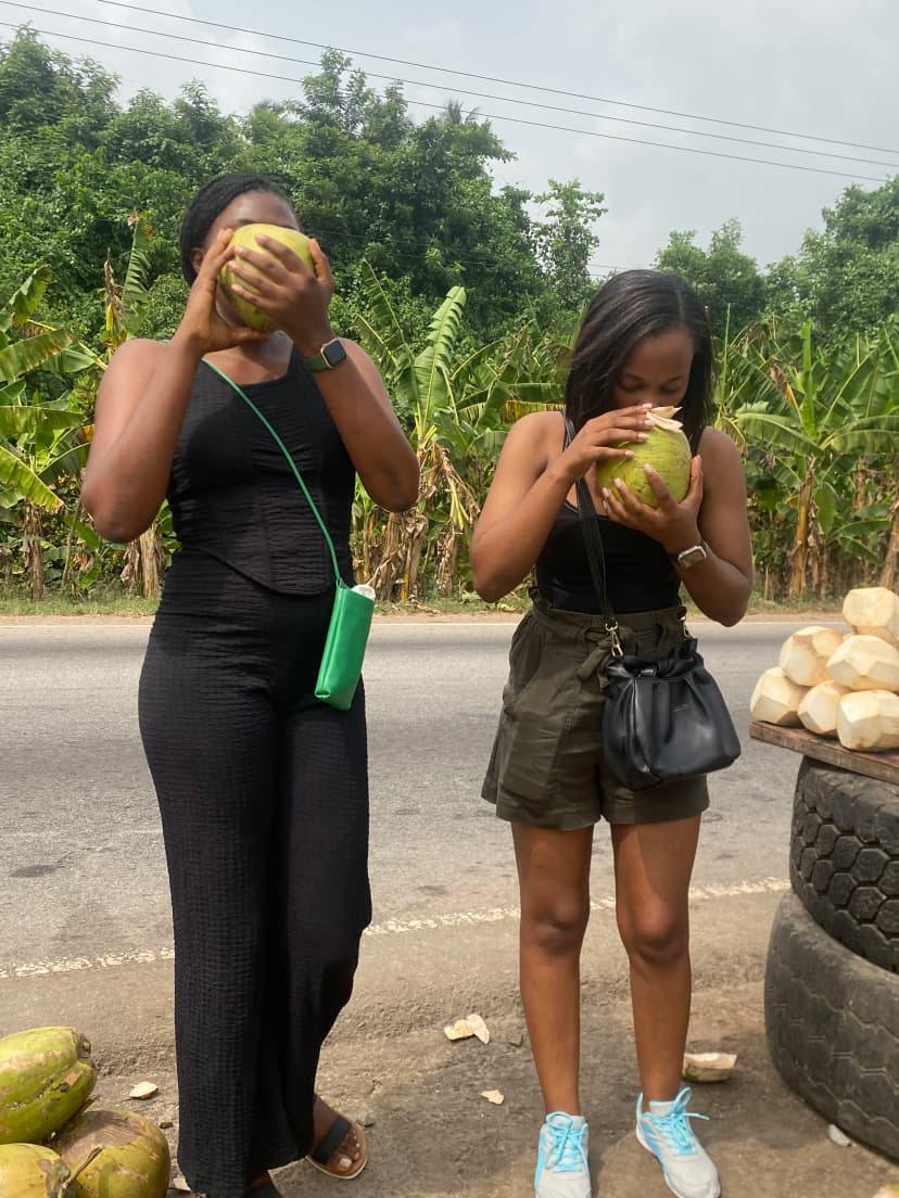 Dégustation d'eau de coco fraîche