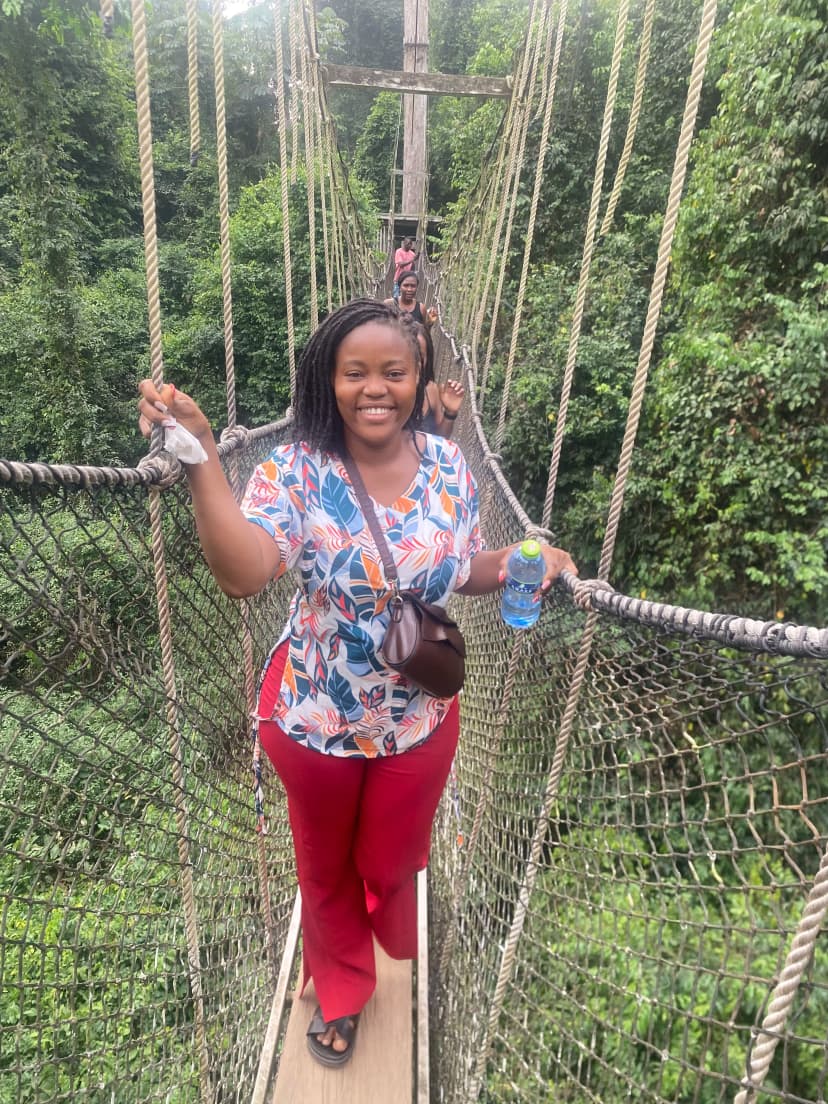Canopy walk au-dessus de la forêt